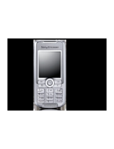 Sony EricssonK700i