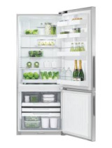 Fisher & PaykelRF442BRPX7 413L Freestanding Refrigerator Freezer