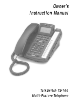 TalkswitchCentrePoint Technologies Two-Way Radio TS 100
