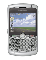 Blackberry8300