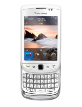 BlackberryTorch 9810 v7.0