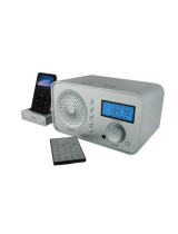 EtonDigital Radio with Dock for iPod Sound 100