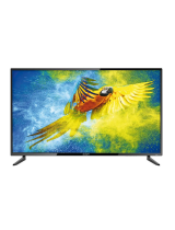 Signify55’’ 4K Ultra HD LED LCD Television