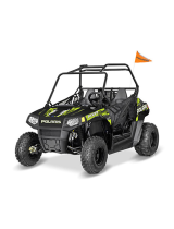 ATV or YouthYouth RZR 170