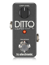 TCElectronicDITTO+ LOOPER
