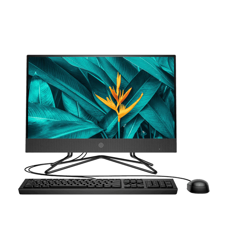 205 Pro G4 22 All-in-One PC