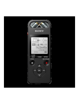 Sony ICD-SX2000 Bruksanvisning