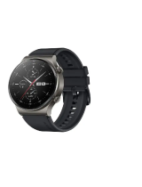 Huawei Watch Series UserWatch GT 2 Pro Nebula Gray (VID-B19)