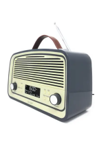 DenverDigital and FM Portable Radio