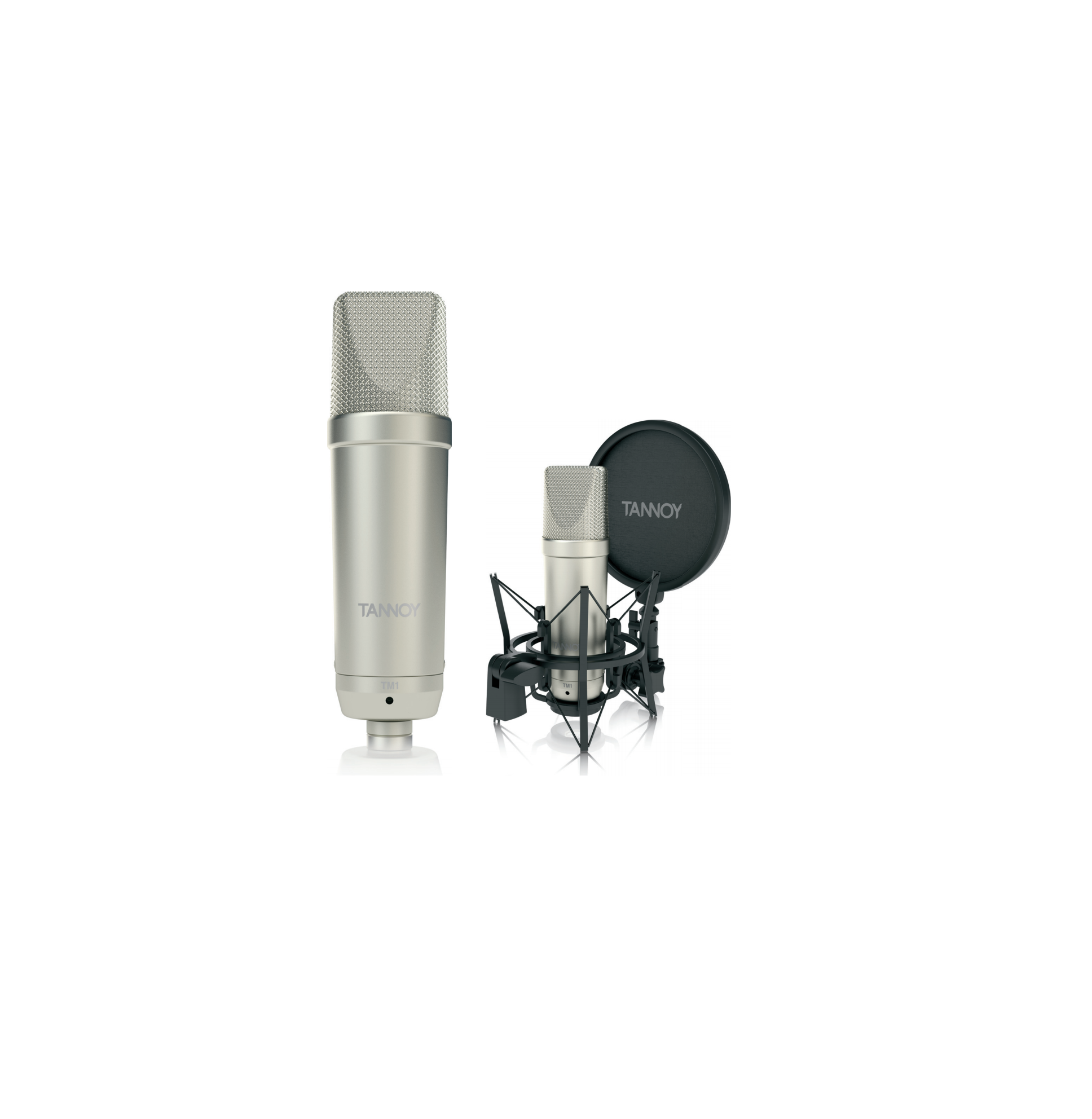 Complete Recording Package Large Diaphragm Condenser Microphone