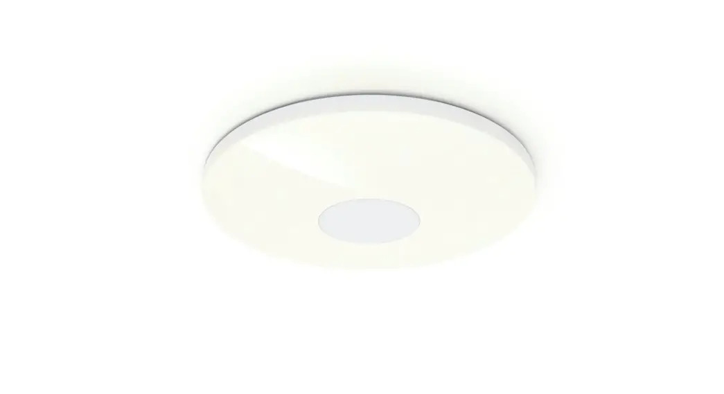 176545 WiFi Ceiling Light
