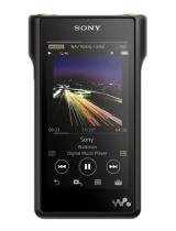 Sony SérieNW-WM1A