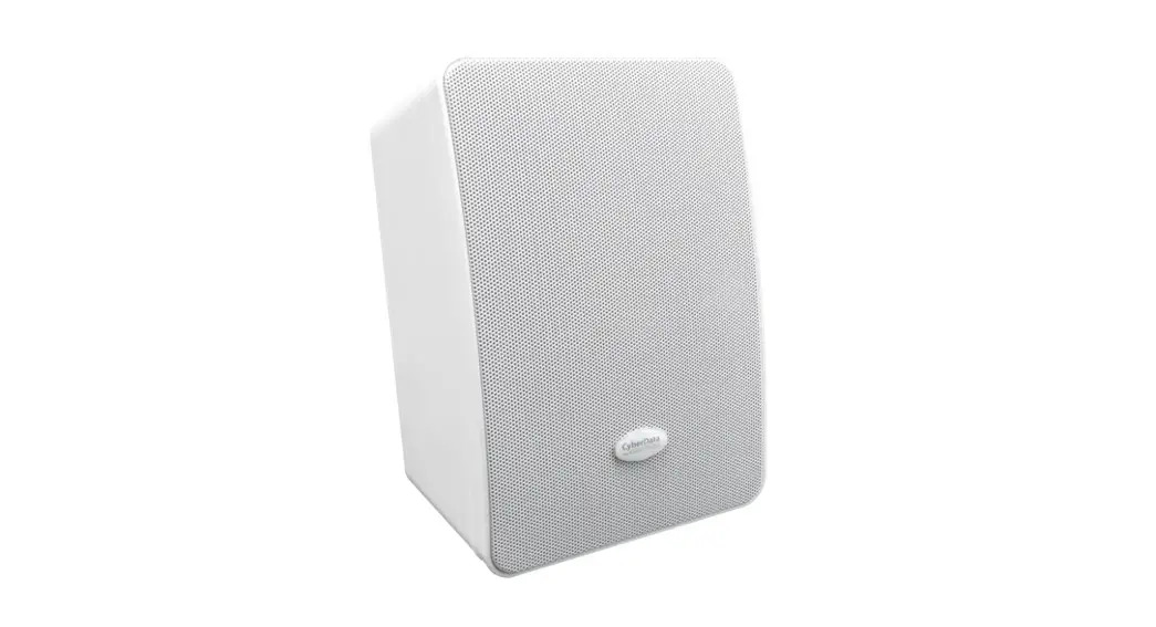 Multicast Wall Mount Speaker