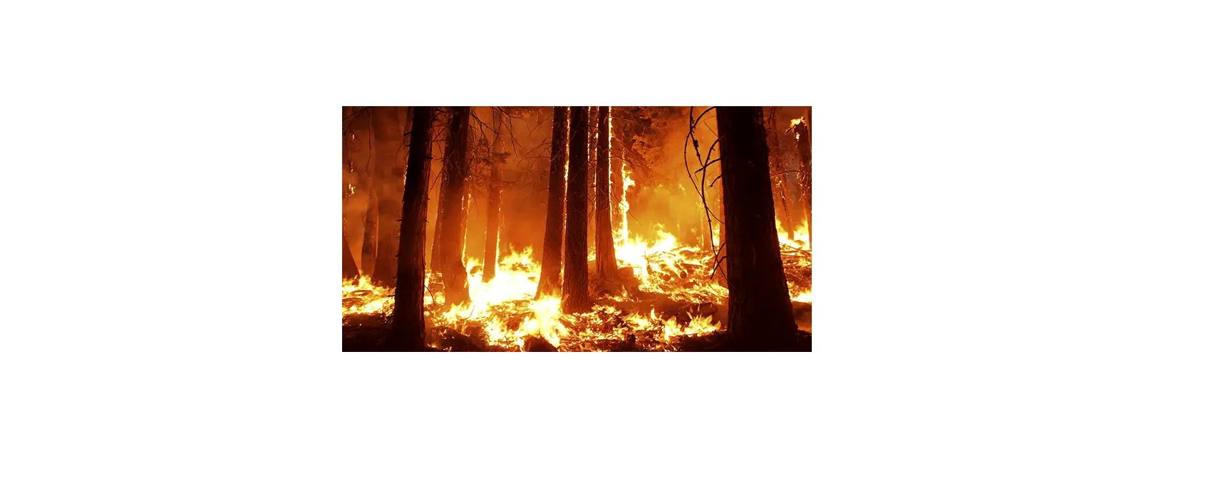 Assessing Erosion Risk After Forest Fires