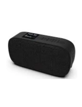 SACKitGo 300 Portable Radio and Bluetooth Speaker