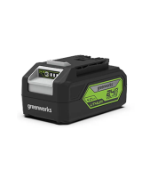 GreenWorks Tools29817