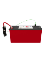 Lithionics BatteryGTX12V320A-E2107-CS200