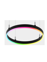 luminiiPlexineon Fixture Catenary Mount Static Color