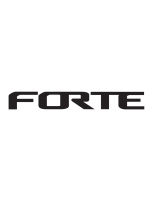Forte0050005313AC