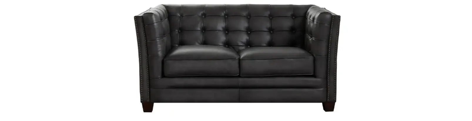 Georgia 68 in. Midnight Blue Solid Leather 2-Seater Loveseat