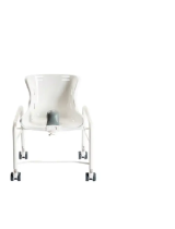 R82Swan Toilet and Bathing Chair