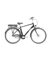 KayobaElectric Bike