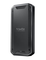 SanDiskPRO-G40 SSD
