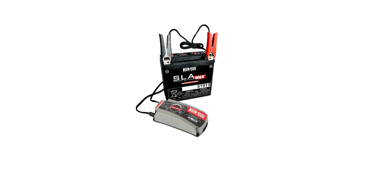 BS 60 Smart Battery Charger