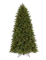 WILLIAMS SONOMAWilliams-Sonoma TG76P3580L04 Grand Fir Christmas Tree