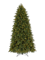 WILLIAMS SONOMAWilliams-Sonoma TG66P3580L03 Grand Fir Christmas Tree