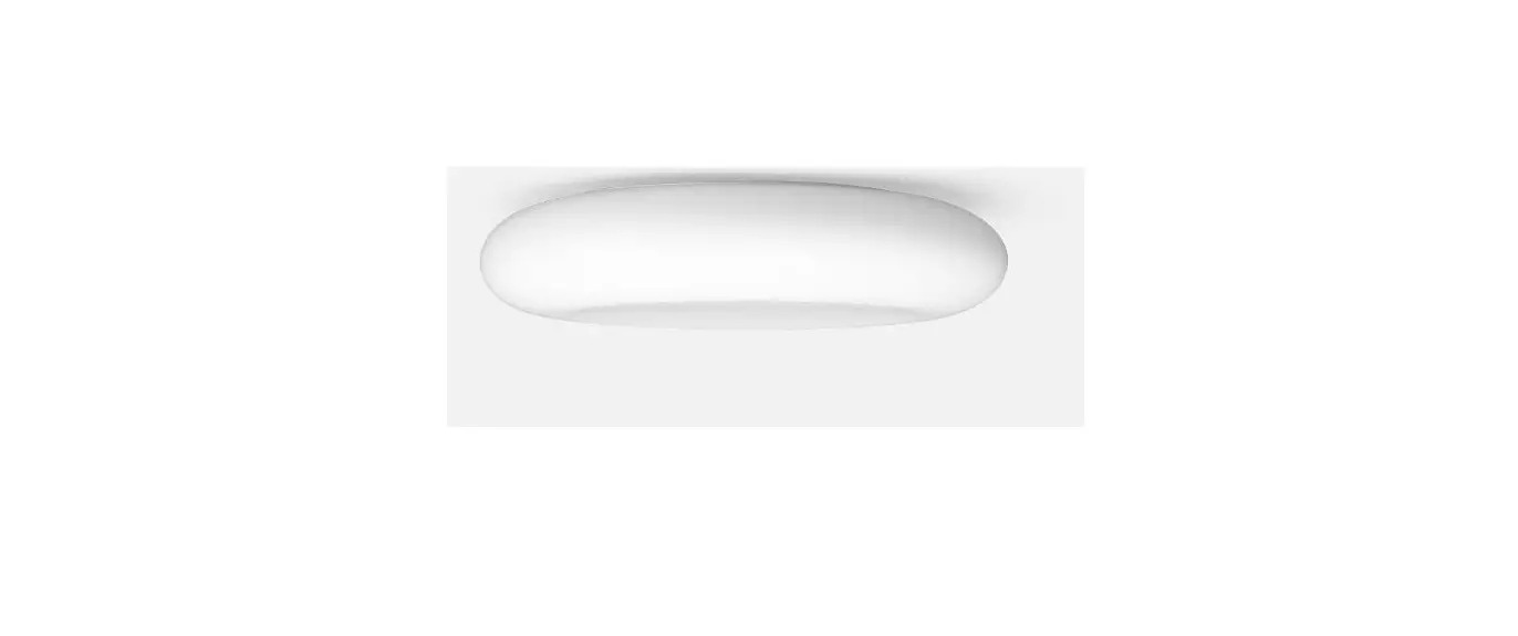 12162 Ceiling and Wall Luminaire
