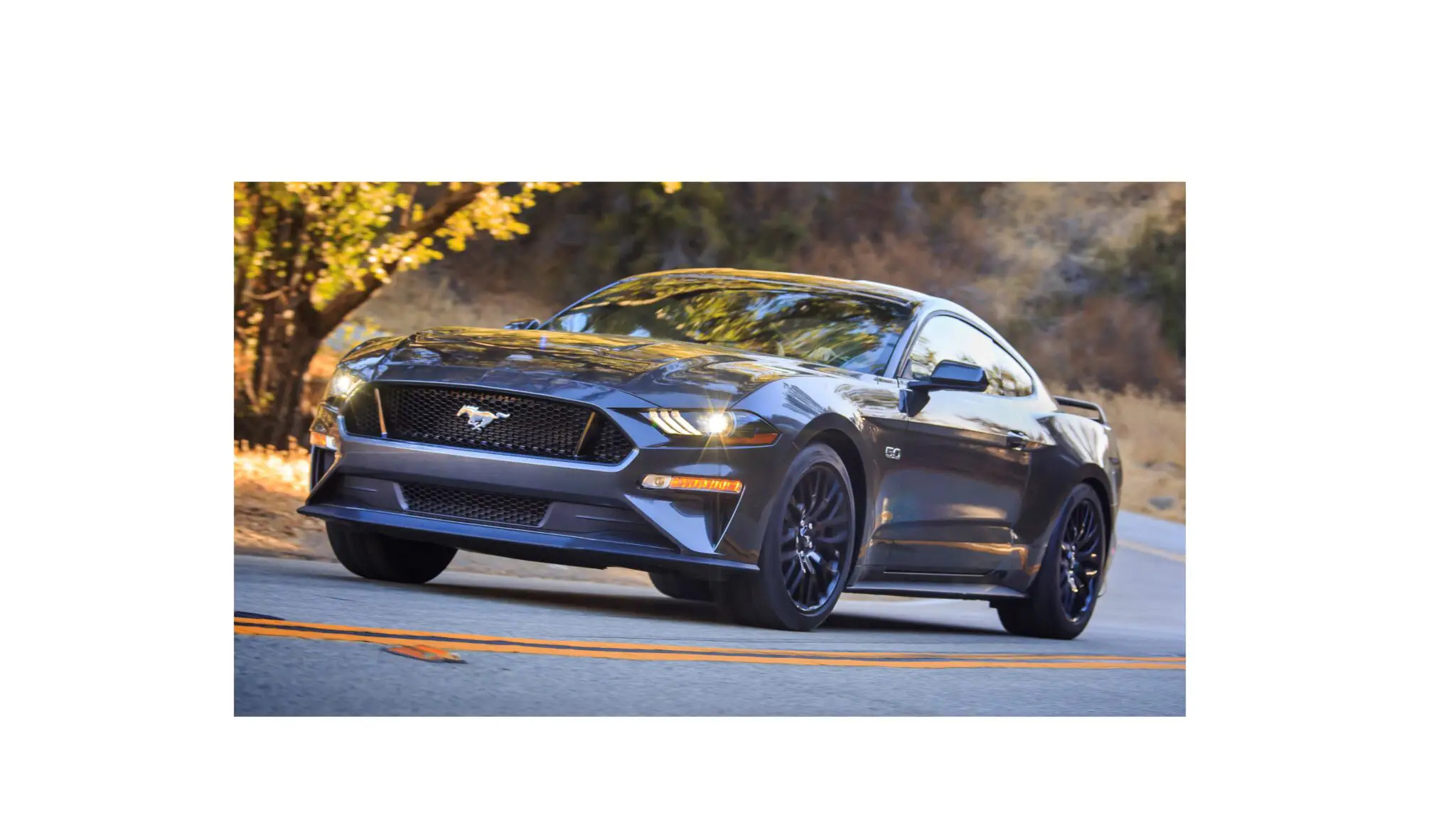 2018 Mustang