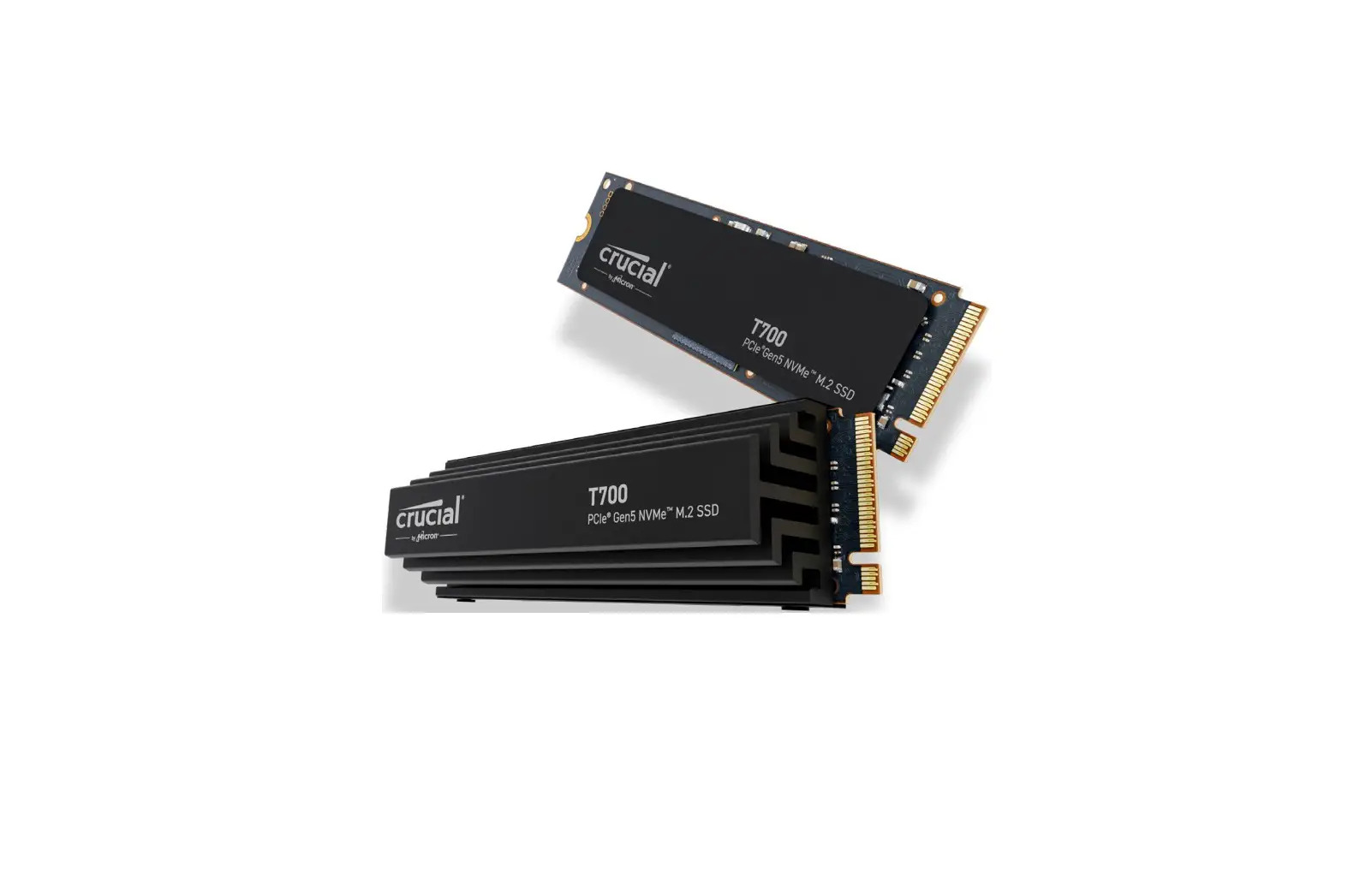 CT1000T700SSD3