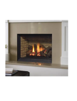 Regency Fireplace ProductsBellavista B36XTCE