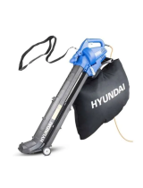HyundaiHYBV3000E