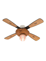 Hunter Fan23252