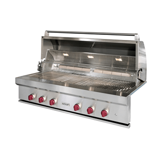 Outdoor Gas Grill