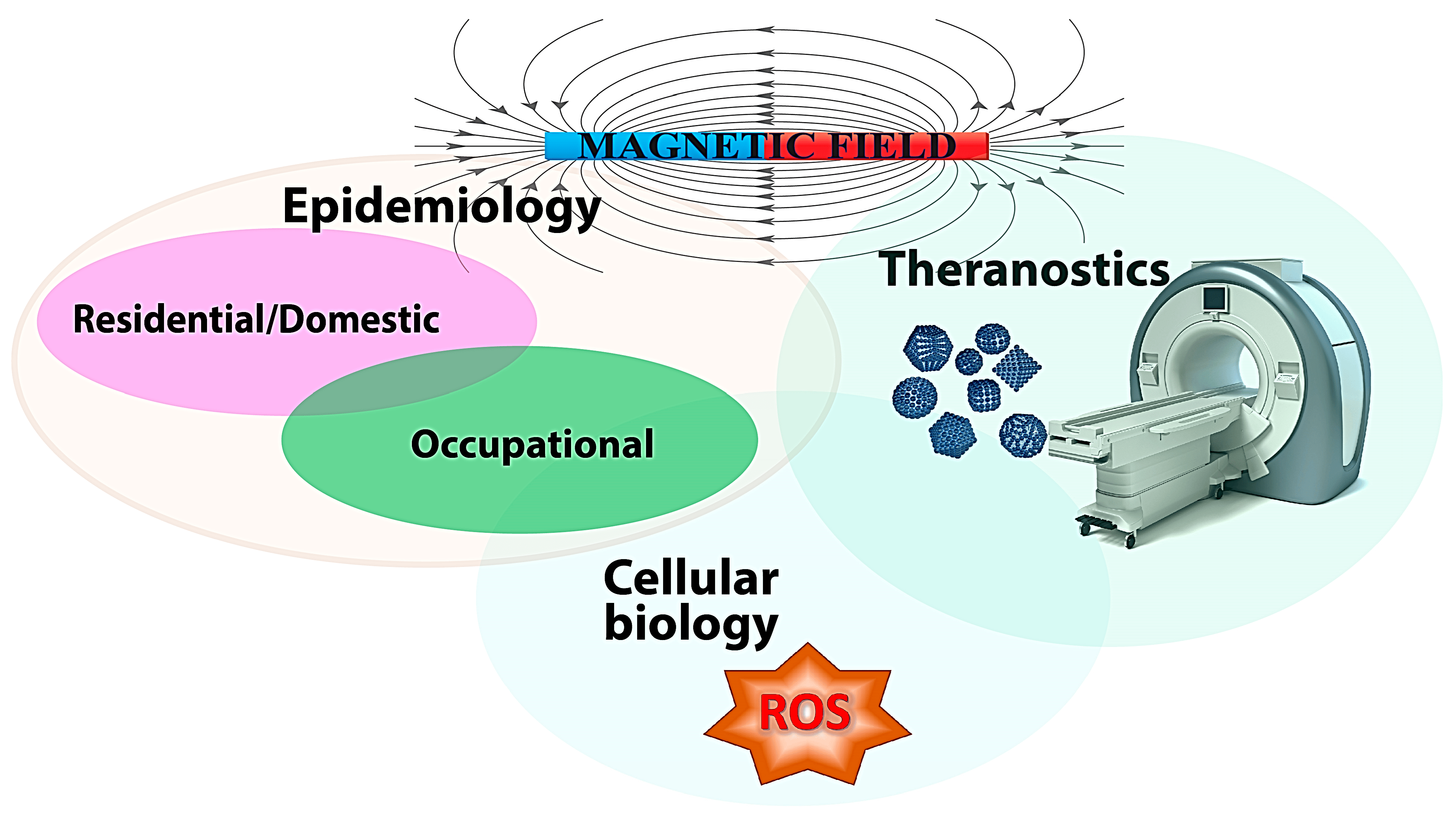 KG 336 BIO A++ WS