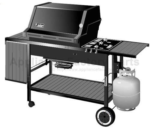 Gas Grill 2000 Series