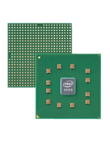 IntelComputer Hardware 41110