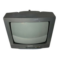 CRT Television DS13310, DS19310