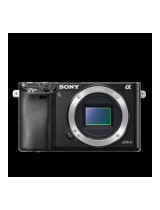 Sony Série A6000 + 16-50mm + Etui + SD 8Go Användarmanual