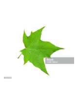 Green Leaf22950