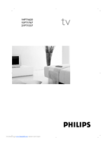 Philips 14PT1620/01 Instrukcja obsługi