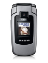 SamsungSGH-E380