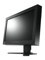 EizoCar Video System CG232W