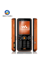 Sony EricssonW610
