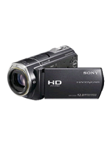 SonyHDR CX520E