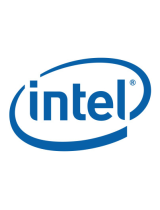 Intel 100Base-TX User manual
