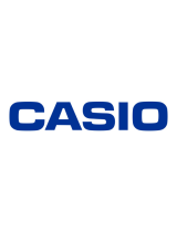 Casio DX-12S Ohjekirja